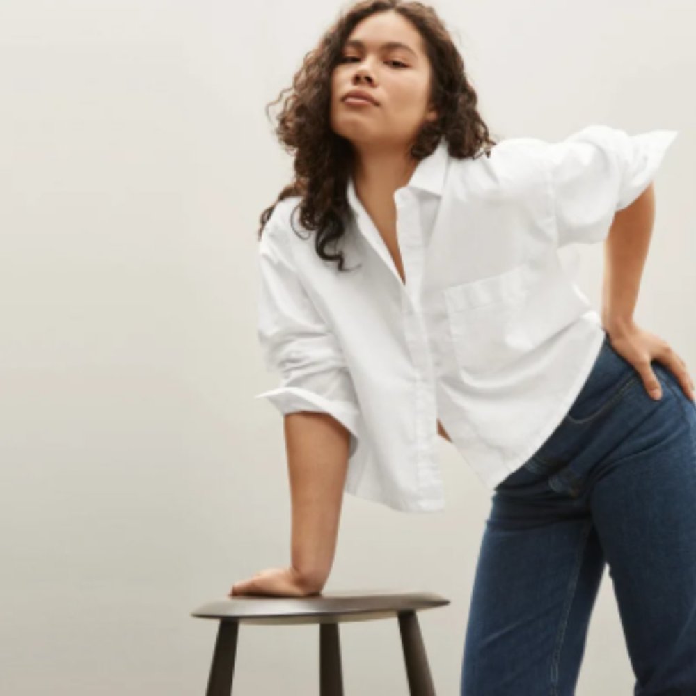 Everlane Silky Cotton Cropped Shirt